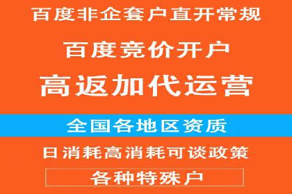 某知名品牌网络推广竞价全解析
